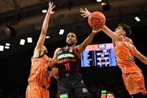 开云中国网站-关于赛前突围战来临，犹他爵士围绕CBA常规赛伤情更新，管理层满意，身体对抗强度拉满的信息